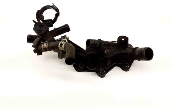 Nissan Qashqai Thermostat 110606217R