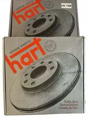 Renault Master III Front brake disc 8200688880