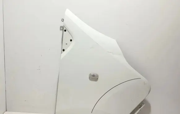 Renault Trafic III (X82) Fender 631001616R