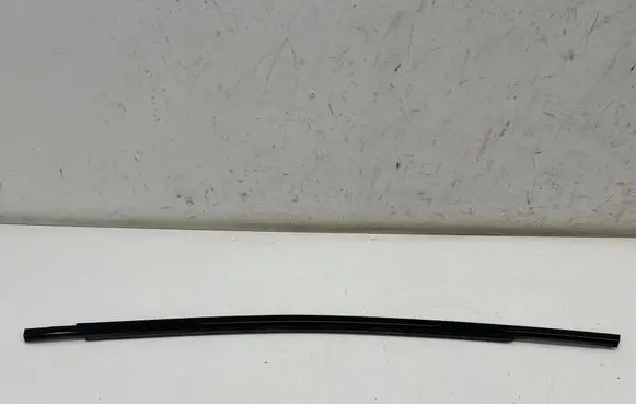 Ford Mustang Mach-E Rear door glass trim molding 