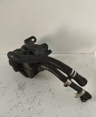 Volkswagen Bora Secondary air pump 071959253 72185122