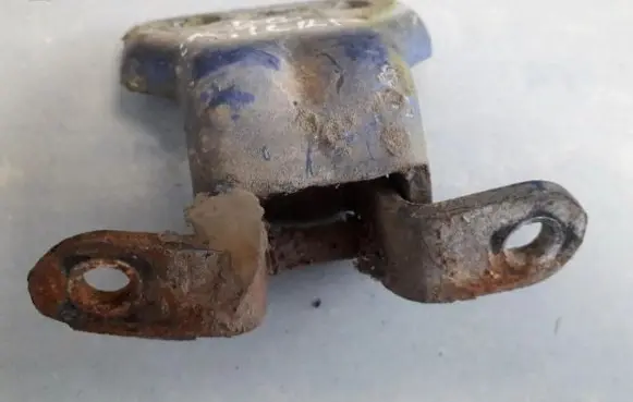 Rear door lower hinge