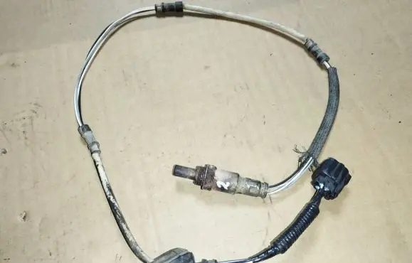 Honda Accord Lambda probe sensor