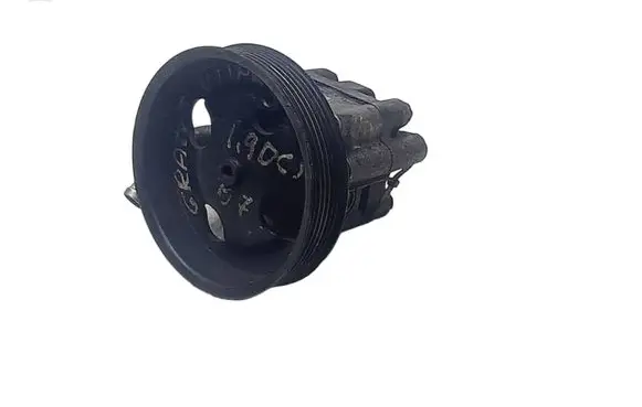 Suzuki Grand Vitara II Power steering pump 4910067J00 79063028