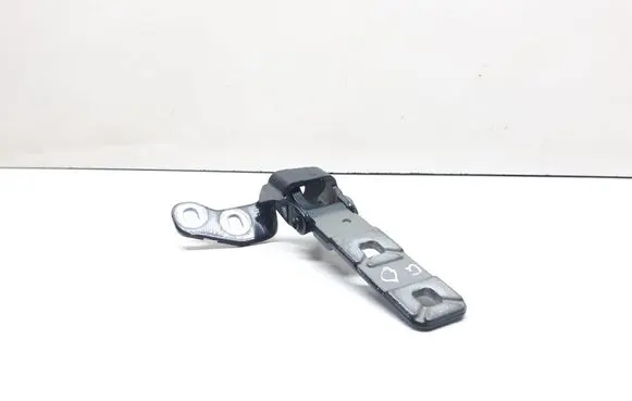 BMW X5 E70 Tailgate/trunk/boot hinge 7149628