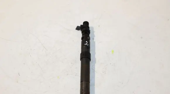 Peugeot Expert Fuel injector 9686191080
