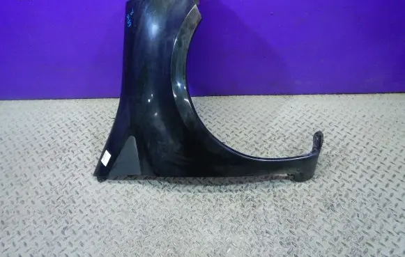 Renault Grand Modus Fender