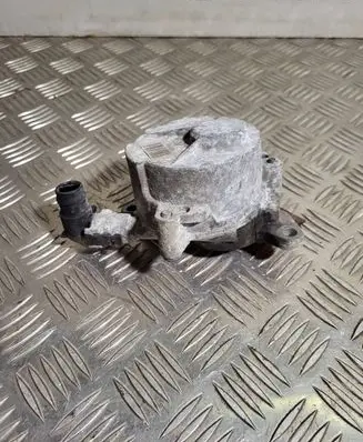 Renault Trafic II (X83) Vacuum pump 8200781547