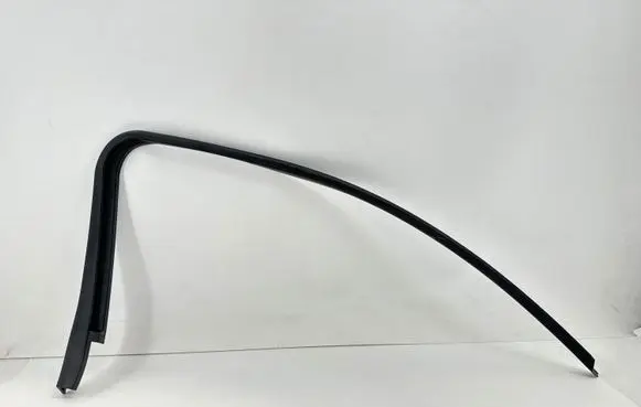 Ford Focus ST Front door glass trim molding 4M51B201A19AF
