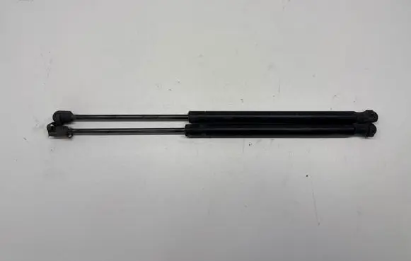 Tailgate/trunk strut/damper