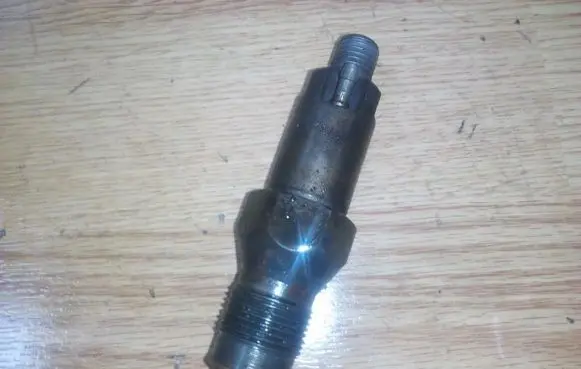 Citroen Berlingo Fuel injector lcr6736001