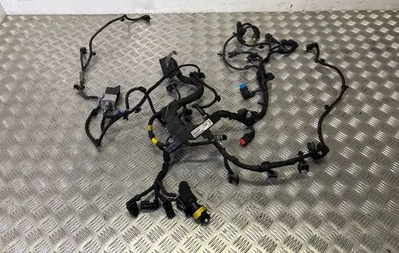 Peugeot Traveller Engine installation wiring loom 9806852980B02