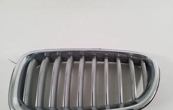 BMW 5 F10 F11 Front grill 7336477