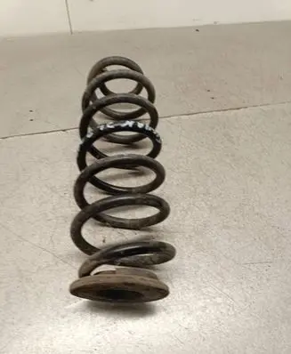 Rear coil spring