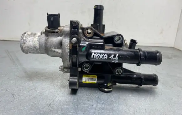 Thermostat/thermostat housing