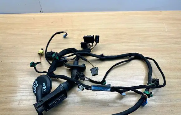 Seat Leon (5F) Front door wiring loom 5F4971030BH