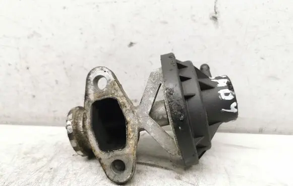 Volkswagen Caddy EGR valve 038131501BC