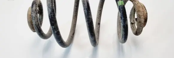 Volkswagen PASSAT B5.5 Rear coil spring