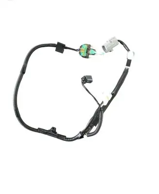 Chrysler Pacifica Other wiring loom