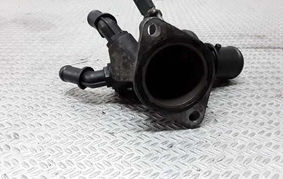 Thermostat/thermostat housing