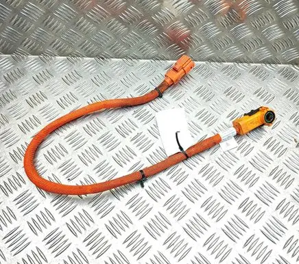 Audi E-tron GT Other wiring loom 9J1971008A