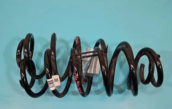 Rear coil spring