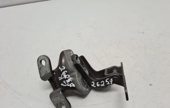 KIA Sportage Rear door hinge set 