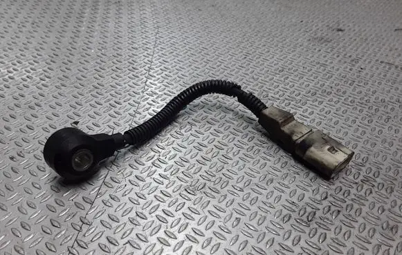 Volkswagen Golf V Detonation knock sensor 021905377E