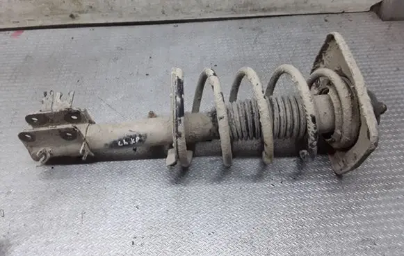 Citroen C8 Front shock absorber with coil spring