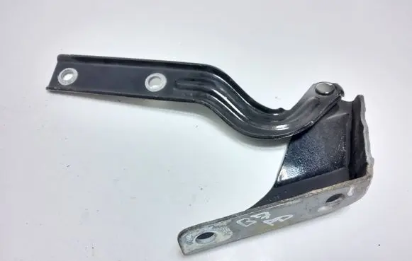 Volkswagen PASSAT B7 USA Engine bonnet/hood hinges 561823302