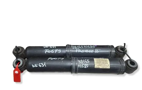 Peugeot Expert Rear shock absorber/damper S631 9816510580