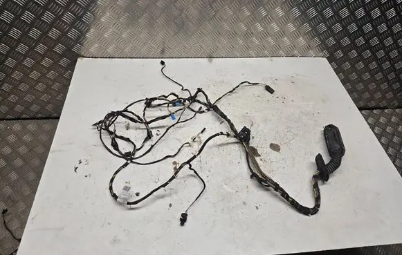 BMW X3 F25 Front door wiring loom 9379834