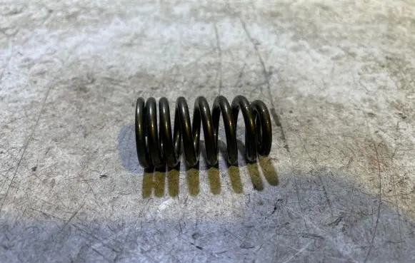 Dodge Challenger Valve spring 