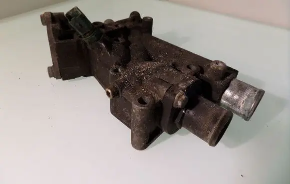 Thermostat/thermostat housing