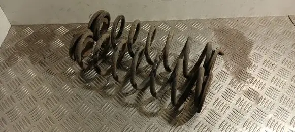 Volkswagen PASSAT B6 Rear coil spring
