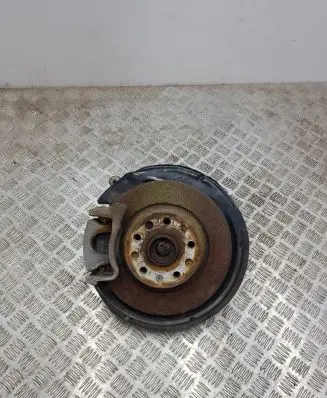 Volkswagen Tiguan Rear wheel hub