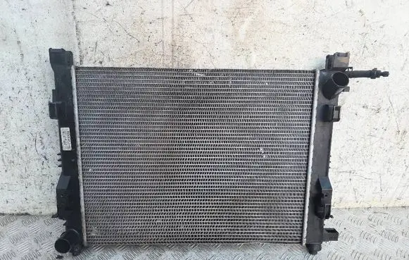 Dacia Duster Coolant radiator 214100078R