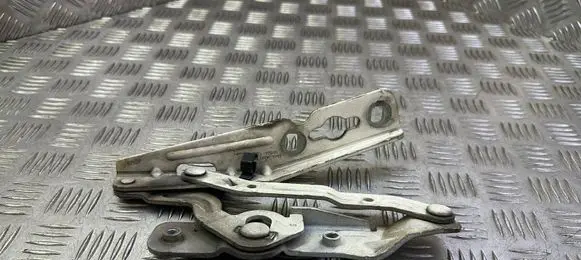 Ford Ecosport Engine bonnet/hood hinges CN1516801CB