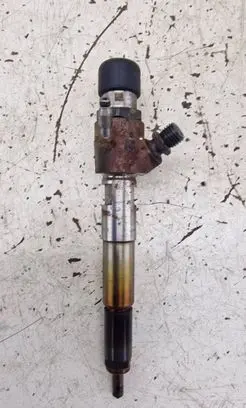 Nissan Juke I F15 Fuel injector H8201100113