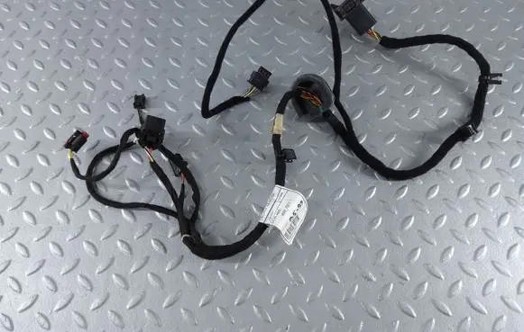 Rear door wiring loom