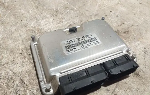 Volkswagen PASSAT B5.5 Engine control unit/module 038906019CF 0271010405