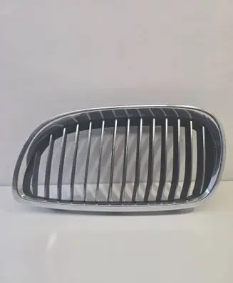 BMW 1 E81 E87 Front grill 22405910