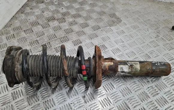 Volkswagen Tiguan Front shock absorber/damper