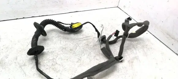 Renault Scenic III - Grand scenic III Front door wiring loom 241256499R 1040271 TD07Z3