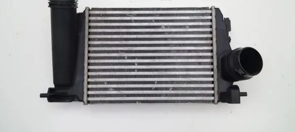 Renault Kadjar Intercooler radiator 14461-4EJ0A