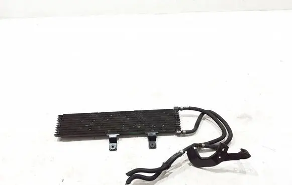 Renault Koleos II Optional radiator 216067FV0A