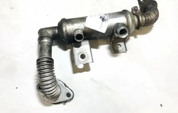 Ford Focus EGR valve cooler