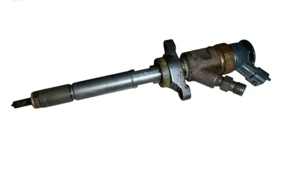 Citroen C3 Fuel injector 0445110311
