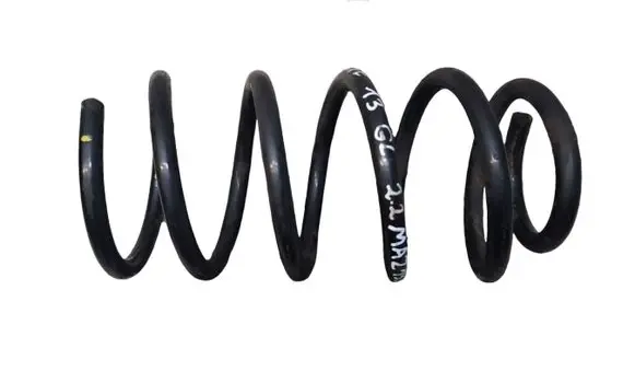 Hyundai Santa Fe Rear coil spring