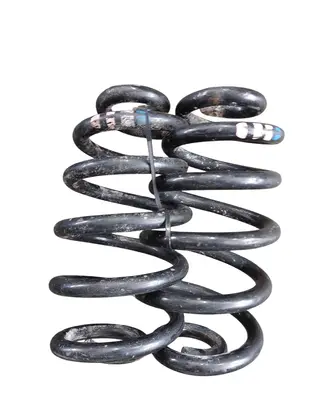 Rear coil spring